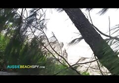 的学生 免费的色情明星